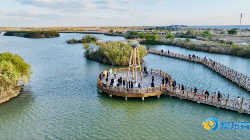 中甲球队 中甲球队