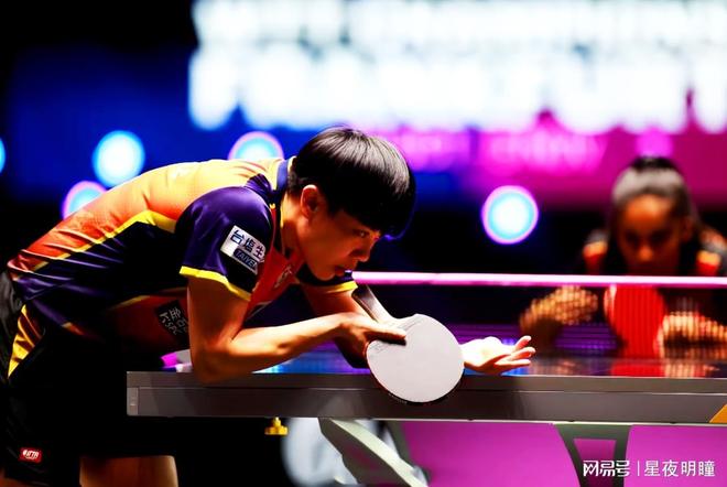 不仅展示了 不仅展示了