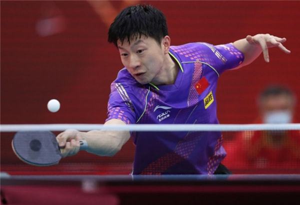 发展指明了 发展指明了