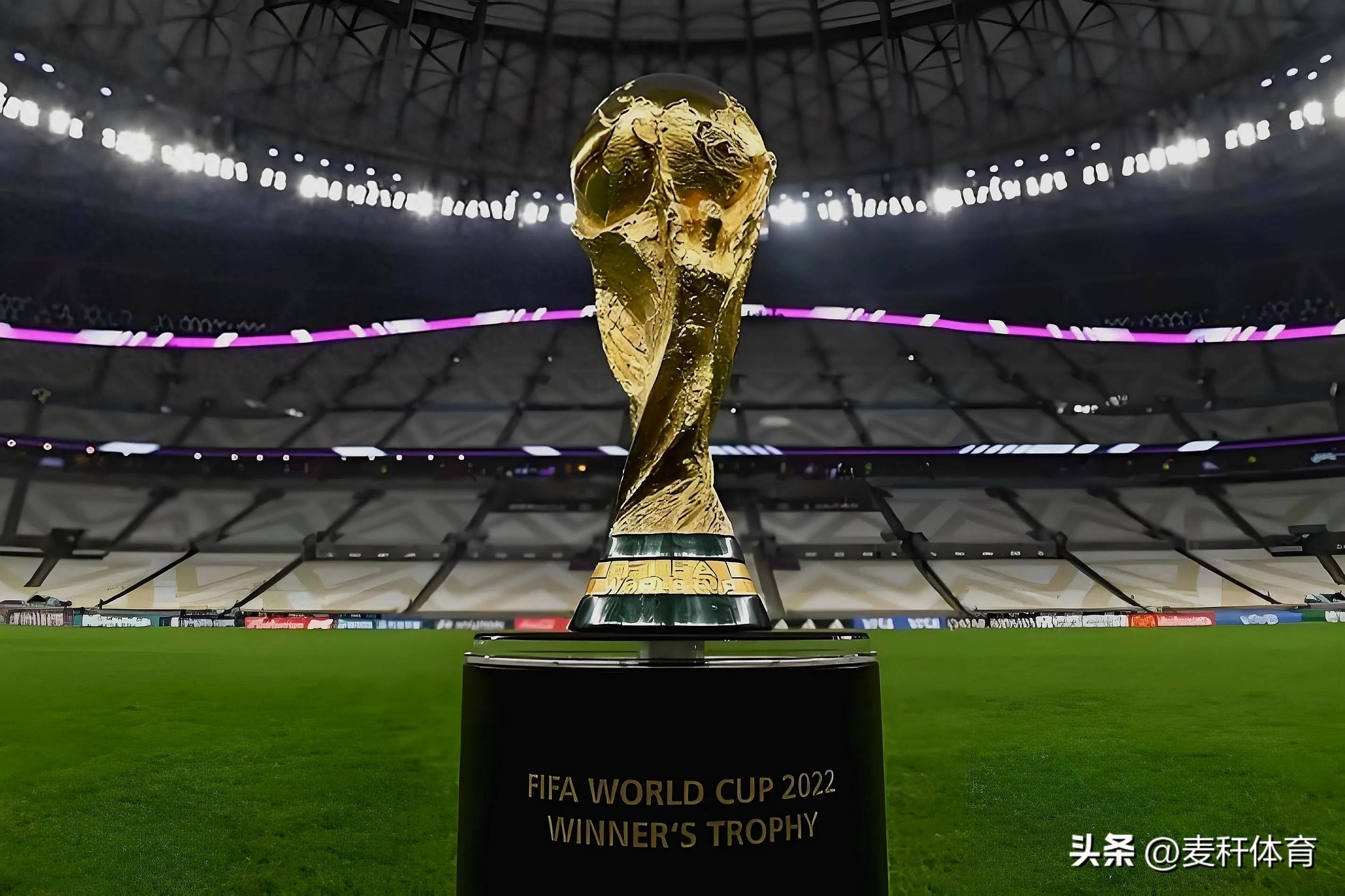 不仅能够与 不仅能够与