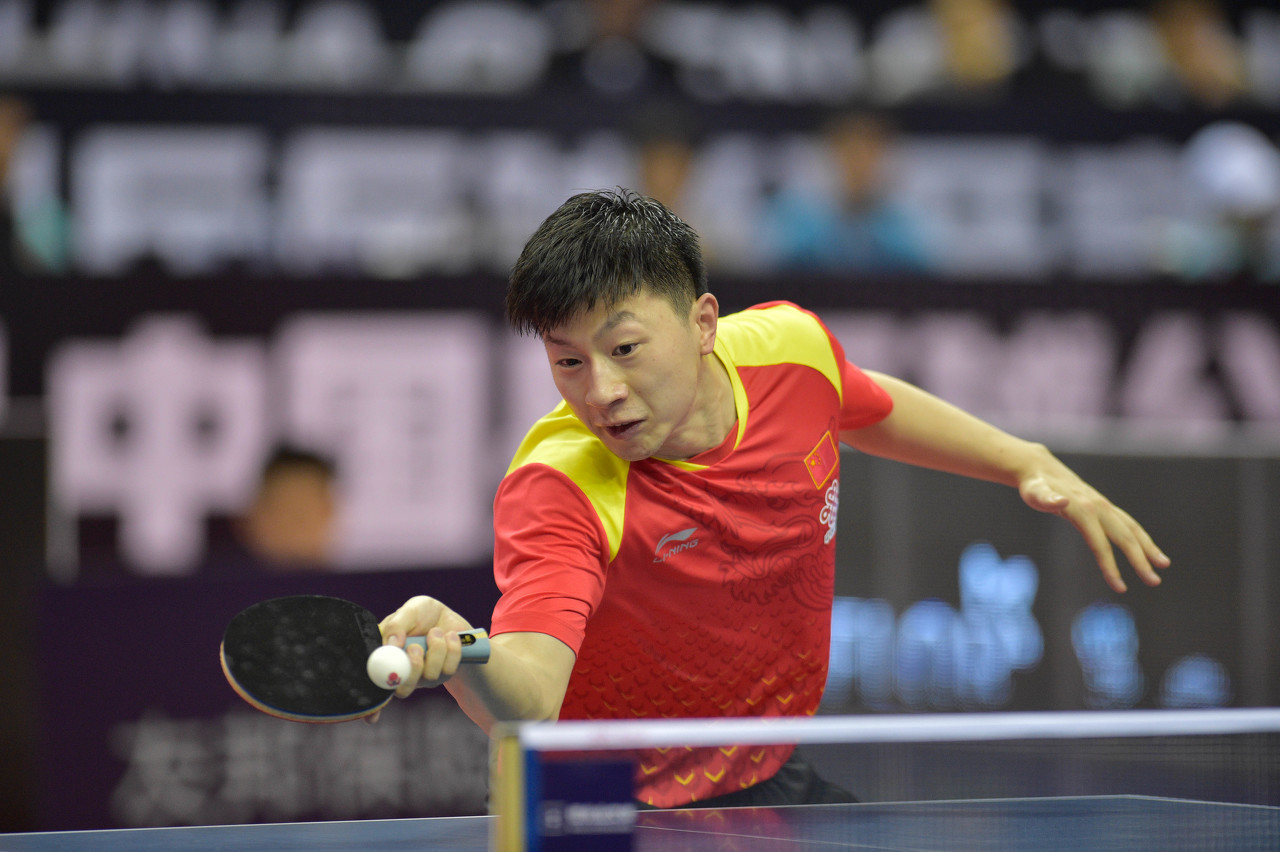 保利尼奥的 保利尼奥的